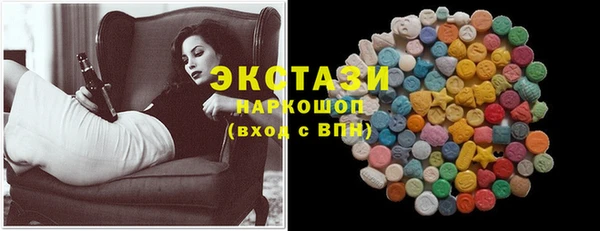 ECSTASY Богородицк